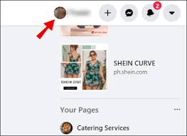 ### download methods + multiply download: How To Download All Photos From Facebook