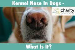 Image result