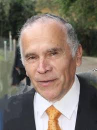 Álvaro Hernández (@cats.alvaro) • Instagram photos and videos