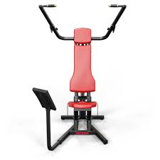 To be precise, these muscles are entirely accountable for pulling the arms back and down. Erbgblzsni Wdm