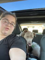 Shout out to scooter's coffee for all the pup cups for my pups 💖