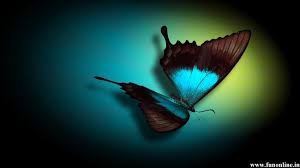 A collection of the top 51 black butterfly wallpapers and backgrounds available for download for free. 44 Black Butterfly Background Wallpaper On Wallpapersafari