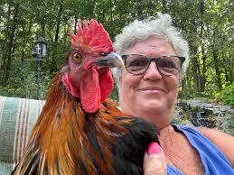 Home for rooster in Pennsylvania?