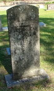 Daniel Elkanah Wilfong (1836-1896)