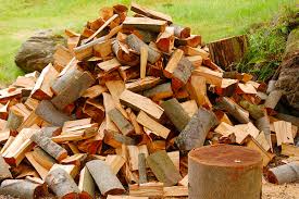 Houses for rent in san diego. Everything You Need To Know About Firewood Kcet
