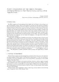 Image result for Orthopichonia schweinfurthii