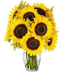 Arrives with protective netting to ensure full beauty Sunflower Bouquet Sunflower Delivery Fromyouflowers