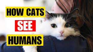 5-Minute Crafts - 10 Curiosities You Probably Didn'T Learn In Biology  Class.  Https://Brightside.Me/Articles/10-Curiosities-You-Probably-Didnt-Learn-In-Biology-Class-804868/?Utm_Source=5_Minute_Crafts_Fb&Utm_Medium=Square_Cards&Utm_Campaign  ...