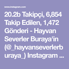 20 2b Takipci 6 854 Takip Edilen 1 472 Gonderi Hayvan Severler Buraya In Hayvanseverlerburaya Instagram Foto Instagram Photo And Video Instagram Photo