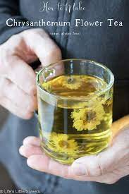 Chrysanthemum Flower Webmd Best Flower Wallpaper