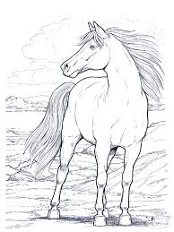 Are you searching horse coloring pages for your kids? Free Printable Horse Coloring Pages For Kids Dover Coloring Pages Horse Coloring Pages Horse Coloring Books