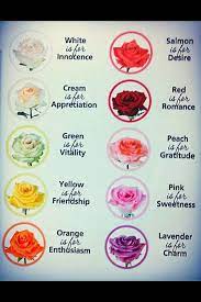 Start studying the language of flowers. Rose Color Meanings Rose Color Meanings Flower Meanings Birth Month Flowers