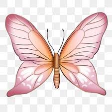 With a luscious color scheme, a wingspan of up to 10cm, these majestic wings offer action packed jumping capabilities. Beautiful Pink Butterfly Illustration Butterfly Clipart Pink Butterfly Beautiful Butterfly Png Transparent Clipart Image And Psd File For Free Download Butterfly Illustration Pink Pattern Background Pink Painting