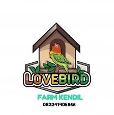 Kamu bisa menggambar sketsa bunga. Gambar Logo Burung Lovebird Nasi