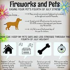Prior to joining our team at bay area veterinary hospital, dr. Bay Area Pet Hospital Traverse City Michigan Home Facebook
