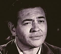 Wagon Train" The Donna Fuller Story (TV Episode 1962)