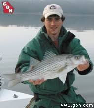 Georgia'S White Bass Run - On The Fly South