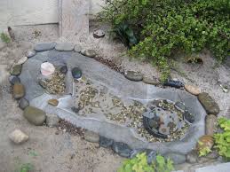 Check spelling or type a new query. Backyard Turtle Pond Ideas