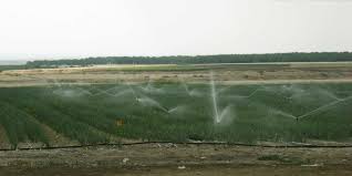 Wasserkonflikt zwischen israel und palästina. Israel Besetzte Palastinensische Gebiete Bis Zum Letzten Tropfen Amnesty Ch