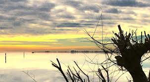 Si occupa di tutti i servizi, dalla stampa dei manifesti ai necrologi al disbrigo pratiche, dal trasporti fino all'allestimento delle camere ardenti. Pompe Funebrin Marin Necrologi Grado