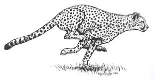 Click on a cheetah below to see a bigger one! Inktober Day 1 Cheetah Running By Silvercrossfox Deviantart Com On Deviantart Cheetah Drawing Leopard Tattoos Cheetah Tattoo