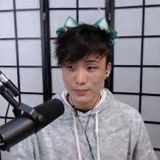 Sykkuno - Twitch Streamer Profile & Bio - Toptwitchstreamers