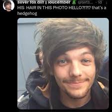 louistomlinson_favtweets