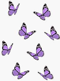 Purple butterfly wallpaper for phone. Iphone Lavender Iphone Purple Butterfly Wallpaper Novocom Top