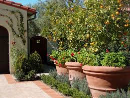 You can prevent grass from creeping under the tree and repel wildlife by planting a ring of daffodils and garlic chives at the drip line of the tree. 24 Delicious Backyard Fruit Tree Ideas Home Stratosphere