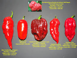 Watch Out For The Trinidad Moruga Scorpion Hottest Pepper