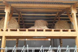 Bullenmaststall Aus Holz Bauen Haaslandwirtschaftsbau Haasfertigbau Rinderstall Mutterkuhstall Bullenmaststall Kalberstall Rinder Stall Milchvieh Bullen