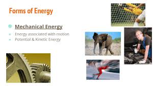 These things, listed below, represent the six fundamental forms of energy: Forms Of Energy Science Quizizz