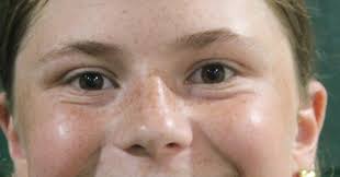 LITTLE LEAGUE SOFTBALL: Meet the Floyds Knobs Community Club 12U All-Stars 