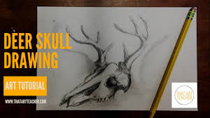 Deer is a very innocent animal. How To Draw A Deer Skull Daily Doodle Shorts Youtube