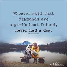 Tell great words about your pooches using the 33 most popular quotes about the man's best friend! Whoever Said That Diamonds Are A Girl S Best Friend