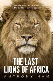 Lion, large, powerfully built cat that is second in size only to the tiger. The Last Lions Of Africa Anthony Ham 9781760875756 Allen Unwin Australia