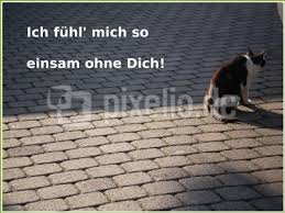 Kostenloses Foto Aira S Postkarten Ich Fuhl Mich So Einsam Ohne Dich Pixelio De