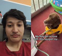 #duet with @Good Boy Ollie Okay, not gonna lie. This tugged at my heart,  strings a little bit, knowing that they never gave up until they got that  prize #Dog #dogsoftiktok #adorable #heartwarming ...