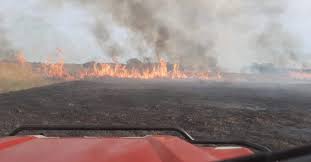 Incendie au sein d'une entreprise de négoce de bouteilles à gigean Lespignan Un Incendie Ravage Pres De 20 Hectares De Vegetation Herault Tribune