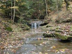 16 Best Historical Pics Of South Eastern Kentucky Images Kentucky Appalachia Historical Pictures