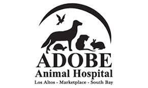 Our certified groomers offer cat shop for tasty meals for your pet reptile. Adobe Animal Hospital Los Altos Petswall