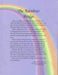 Whether furry, feathered or scaled, all are welcome. Ivan On Twitter Rainbow Bridge Dog Rainbow Bridge Poem Dog Heaven