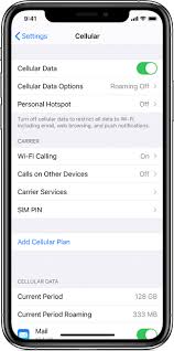 check the cellular data usage on your iphone and ipad