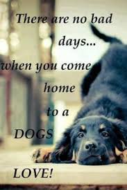 Pet Quotes on Pinterest | Dogs, Word Pictures and Dog Quotes via Relatably.com