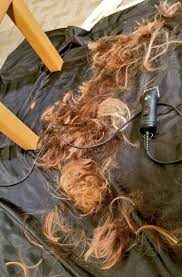 Pin On Hair On Floor