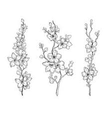 Are you looking for cherry blossom tree tattoo, if so then you have come to the right site. Cherry Blossom Tattoo Stencil