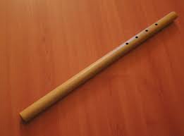 Fu merupakan alat musik tradisional memainkannya dengan cara ditiup yang banyak ditemukan di maluku utara. Saluang Wikipedia Baso Minang