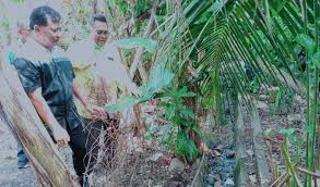 Semasa musim hujan, tempat yang menakung air boleh menjadi tempat pembiakan nyamuk aedes. Sikap Ambil Mudah Dorong Peningkatan Denggi