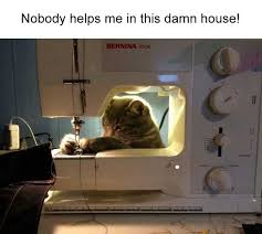 Try Not To Laugh Challenge Funny Cats And Dogs 35 Extremely Hard Try Not To Laugh Challenge Funniest Animals Compilation Justviral Net In 2020 Challenges Funny Relatable Meme Try Not To Laugh