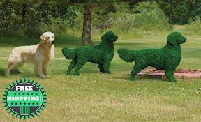Great savings & free delivery / collection on many items. Show Dog Topiaries